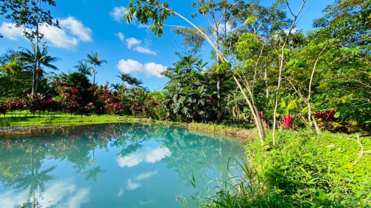 Blue River Resort & Hot Springs Liberia Ngoại thất bức ảnh