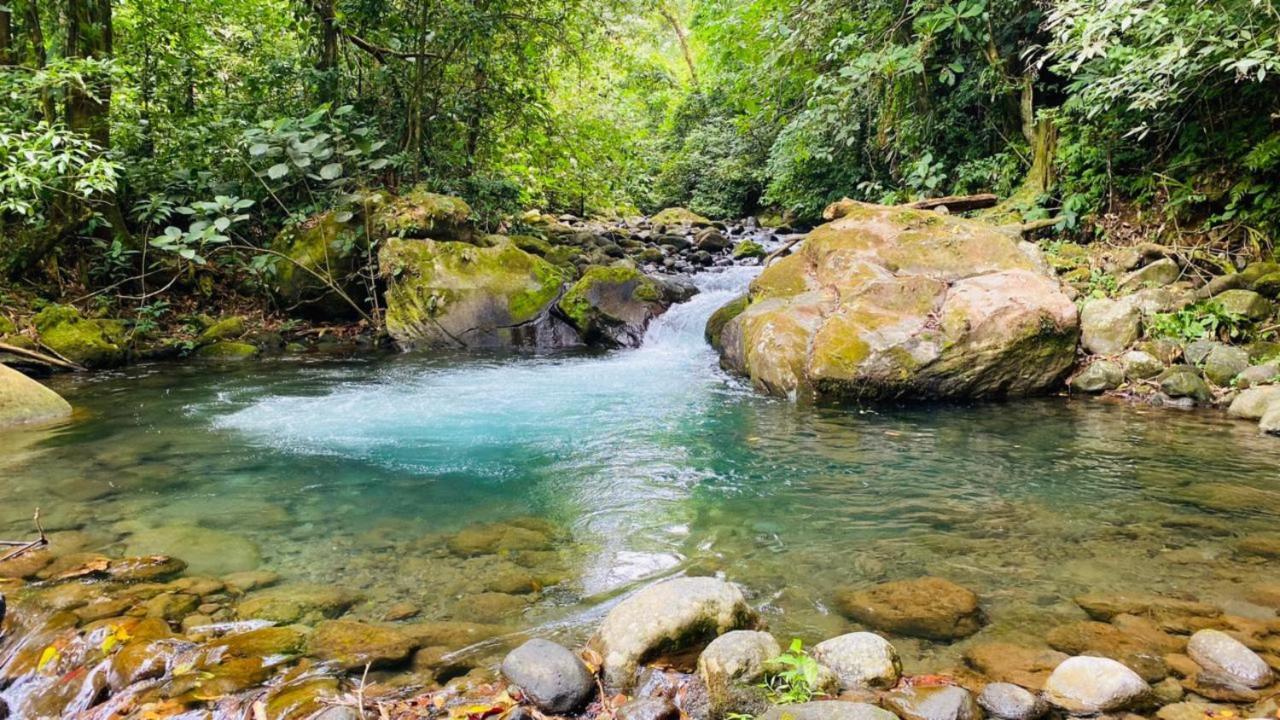 Blue River Resort & Hot Springs Liberia Ngoại thất bức ảnh