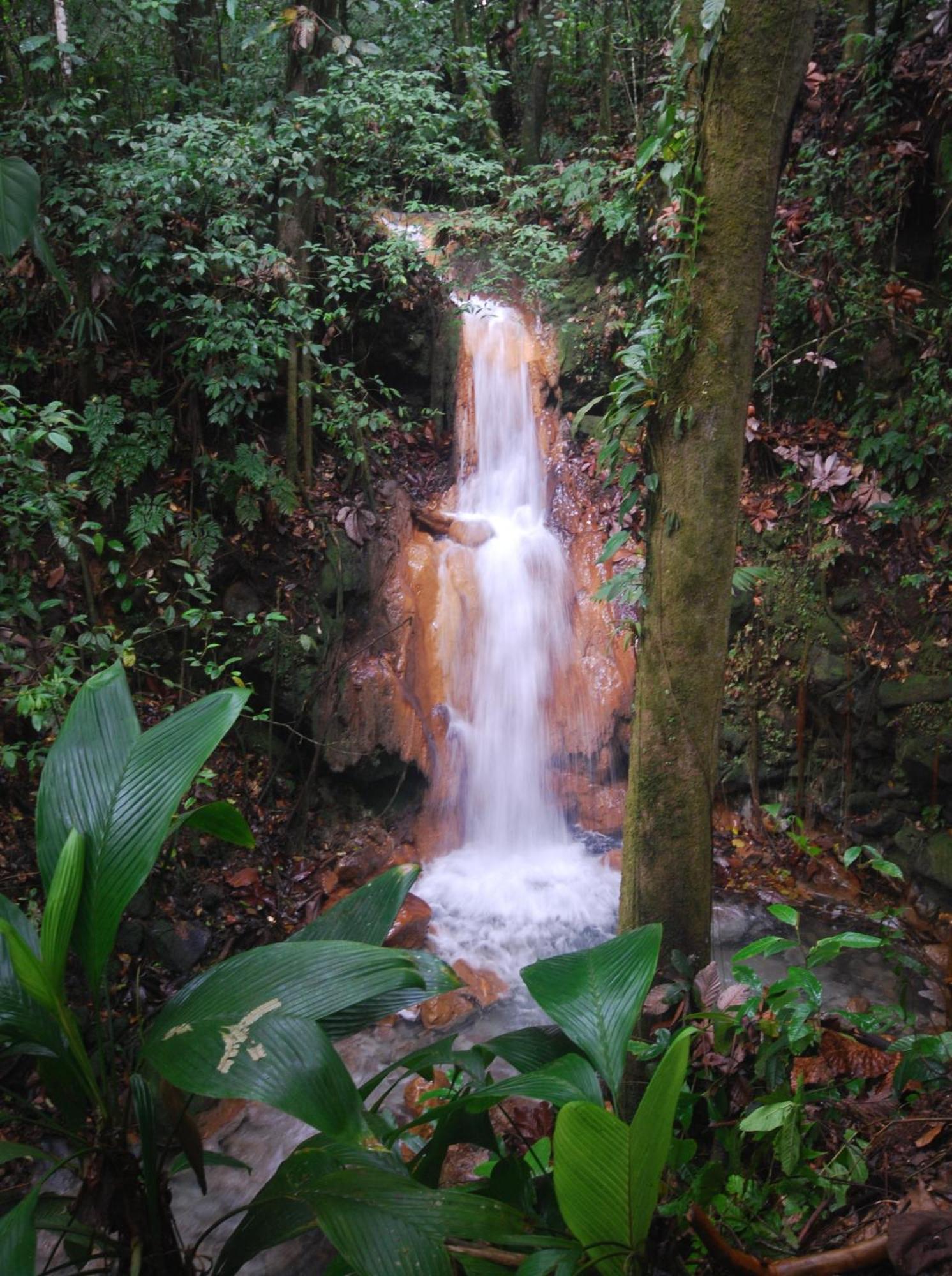 Blue River Resort & Hot Springs Liberia Ngoại thất bức ảnh