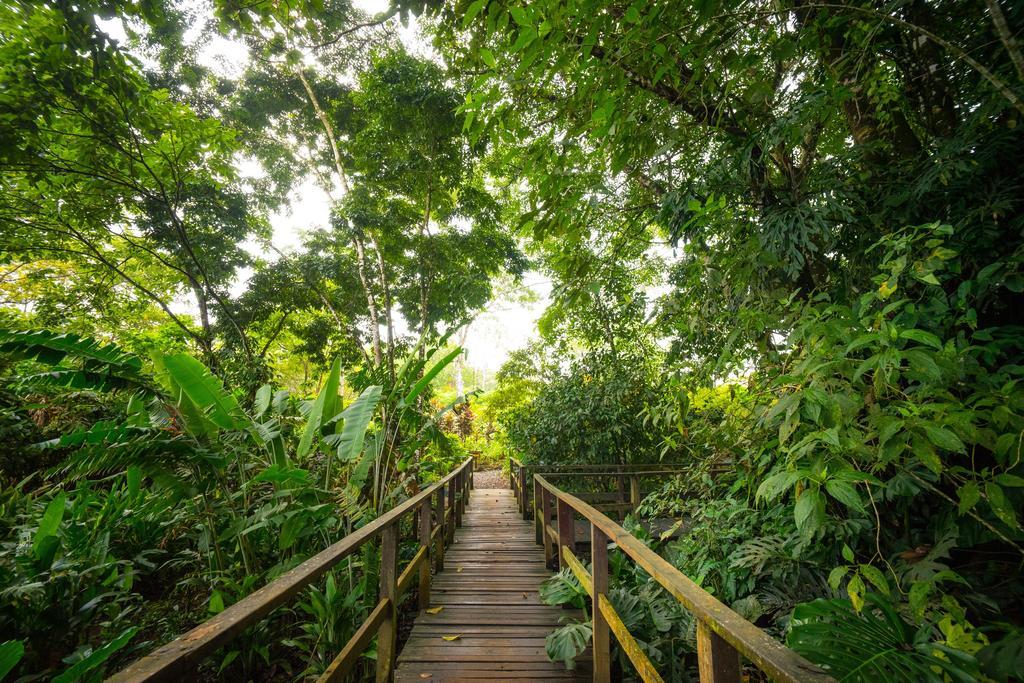 Blue River Resort & Hot Springs Liberia Ngoại thất bức ảnh