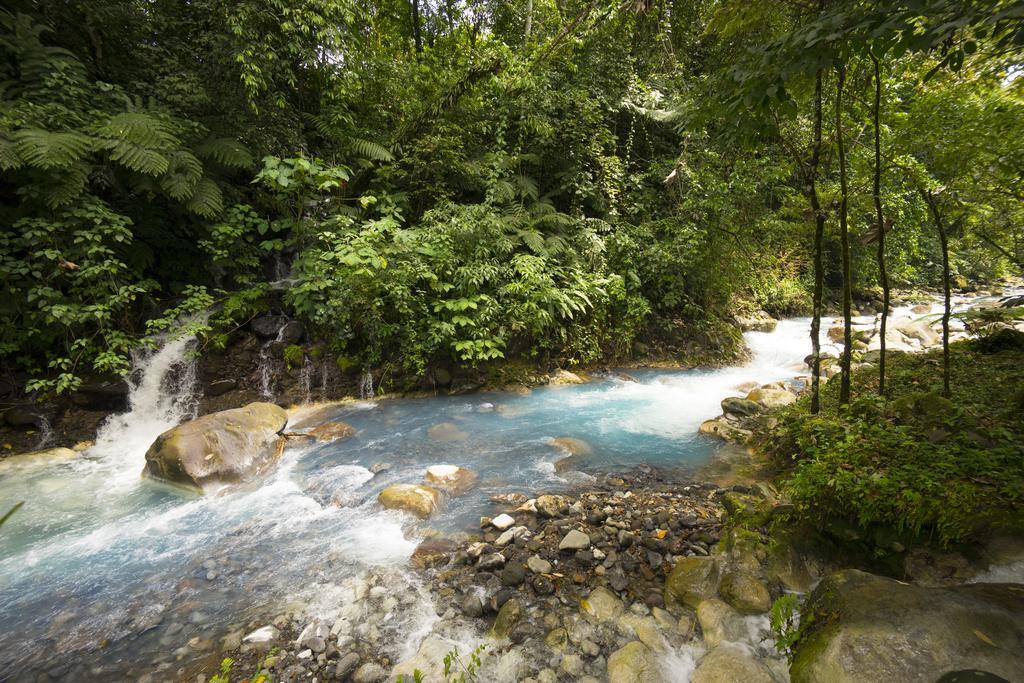 Blue River Resort & Hot Springs Liberia Ngoại thất bức ảnh