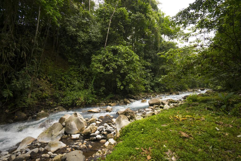 Blue River Resort & Hot Springs Liberia Ngoại thất bức ảnh