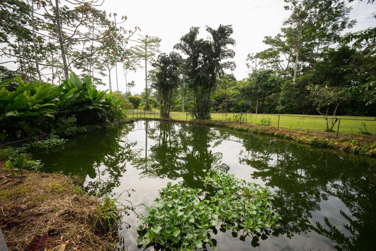 Blue River Resort & Hot Springs Liberia Ngoại thất bức ảnh